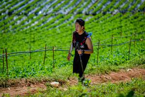 BIB: 
                            <button type="button" onclick="openModal(19164619)" class="btn btn-primary btn-sm float-right btn-popup" data-toggle="modal" data-target=".modal-high-quality">
                        <i class="fas fa-shopping-cart"></i> Add to Cart
                    </button>
                                            <button type="button" onclick="isThisMe(19164619, true)" class="btn btn-success btn-sm float-right btn-popup btn-isme hidden" data-toggle="tooltip" data-placement="bottom" title="นี่คือรูปของคุณใช่ไหม คลิกที่นี่เพื่อเอาเข้าอัลบั้ม">
                        <i class="fas fa-plus"></i> Add to album
                    </button>
                    <button type="button" onclick="isThisMe(19164619, false)" class="btn btn-warning btn-sm float-right btn-popup btn-isnotme hidden">
                        <i class="fas fa-ban"></i> Remove from album
                    </button>